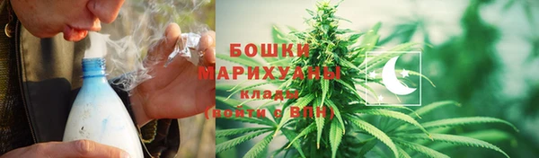 молекула духа Болотное