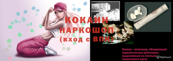 apvp Верея