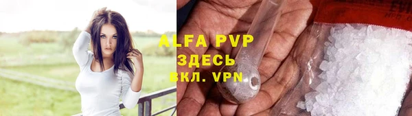 apvp Верея