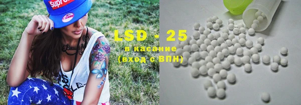 apvp Верея