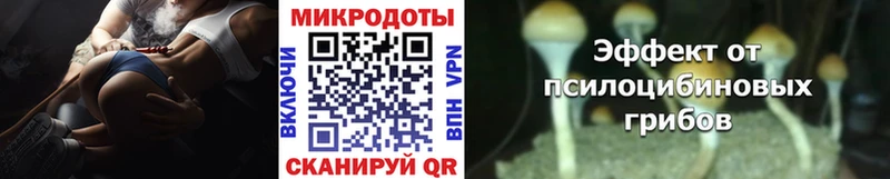Галлюциногенные грибы Cubensis  Канск 